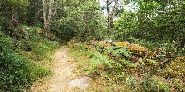 How do indigenous conservation practices contribute to global biodiversity?